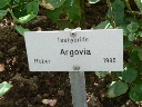 argovia_name.JPG
