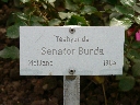 senator_burda_name.JPG